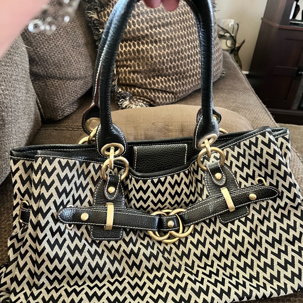 Ladies purse.  Black and white. No name brand.